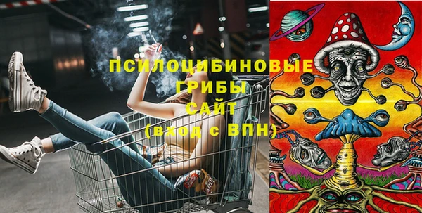 бошки Алексеевка