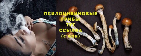 бошки Алексеевка