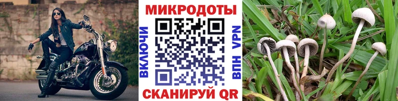 как найти закладки  Лабинск  это клад  Галлюциногенные грибы ЛСД  KRAKEN ссылки 