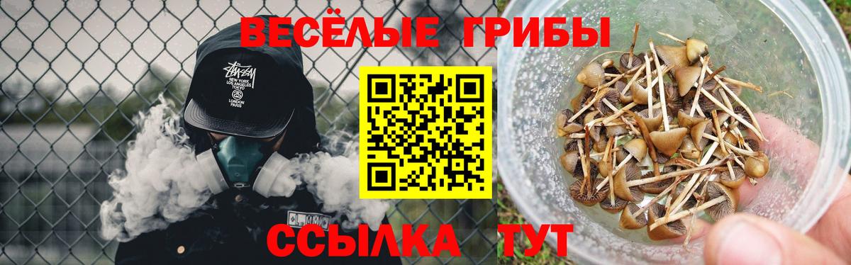 Псилоцибиновые грибы MAGIC MUSHROOMS  Псилоцибиновые грибы мухоморы  Лабинск  Вход с VPN 